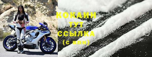 гашик Россошь