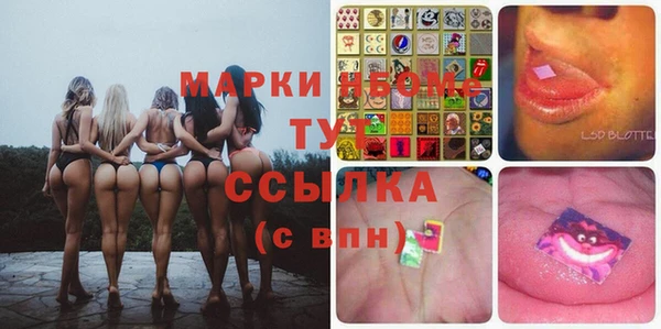 гашик Алексеевка